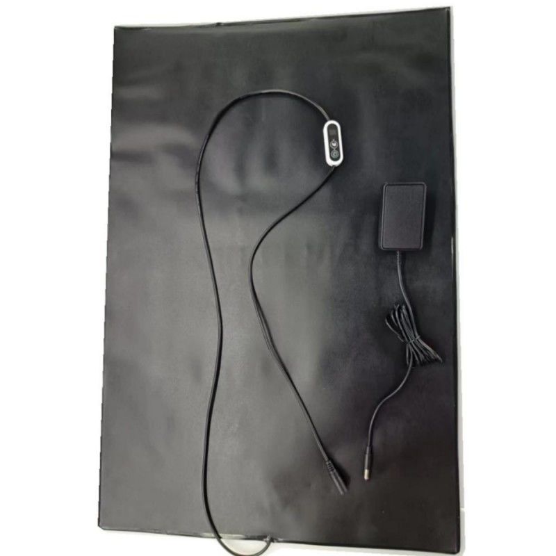 Matto di riscaldamento in PVC per animali domestici 12V Pad di riscaldamento 60x40cm Con regolatore di temperatura per cani e gatti
