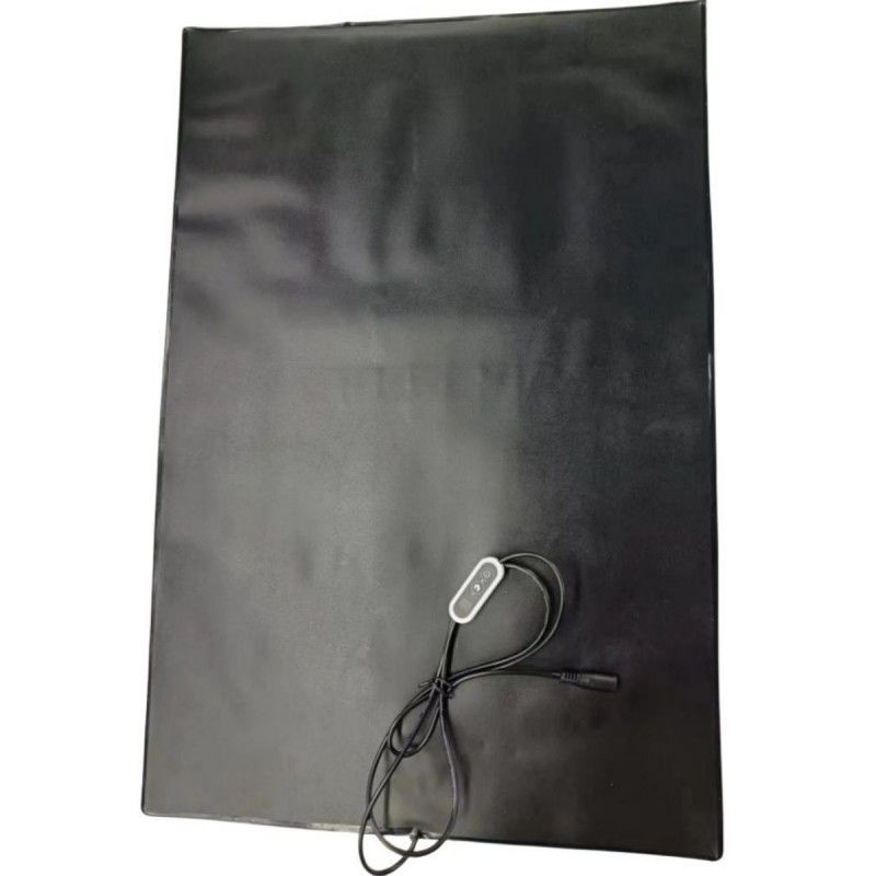 Matto di riscaldamento in PVC per animali domestici 12V Pad di riscaldamento 60x40cm Con regolatore di temperatura per cani e gatti