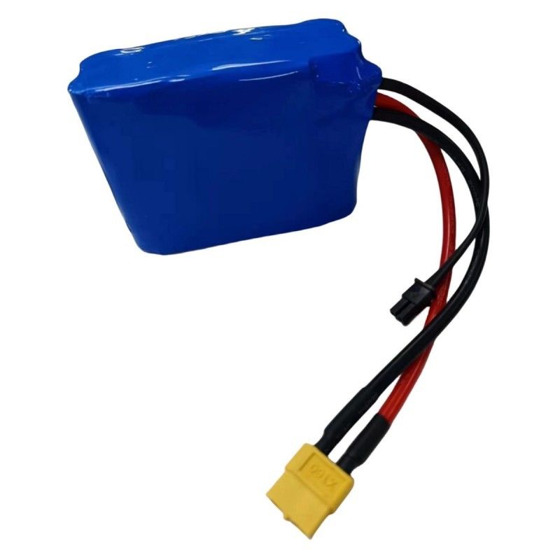 Batteria personalizzata 5S2P 18650 Batterie al litio 18.5V 5200mAh 5pcs in serie con BMS