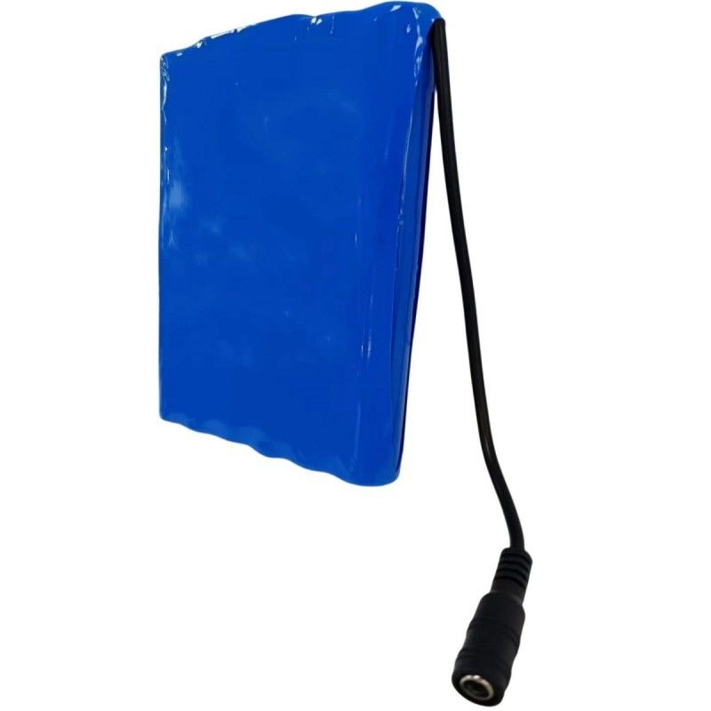 Slim 18650 batterie 6S2P 22.2V 5Ah Con DC 5.5x2.1mm connettore BMS In cima