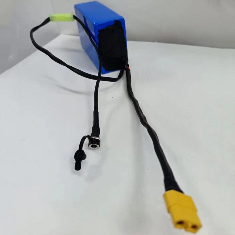 Batteria 18650 personalizzata 36V 2600mAh 10 cellule con piccolo tappo di trasferimento Tamiya per la ricarica