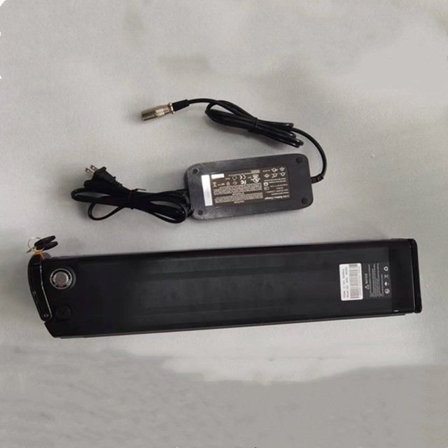 Silver Fish Batteria al litio 48V 25Ah Lunghezza 630mm con caricabatterie Per E Bike