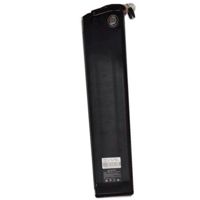 Silver Fish Batteria al litio 48V 25Ah Lunghezza 630mm con caricabatterie Per E Bike