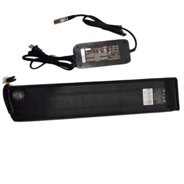 Silver Fish Batteria al litio 48V 25Ah Lunghezza 630mm con caricabatterie Per E Bike