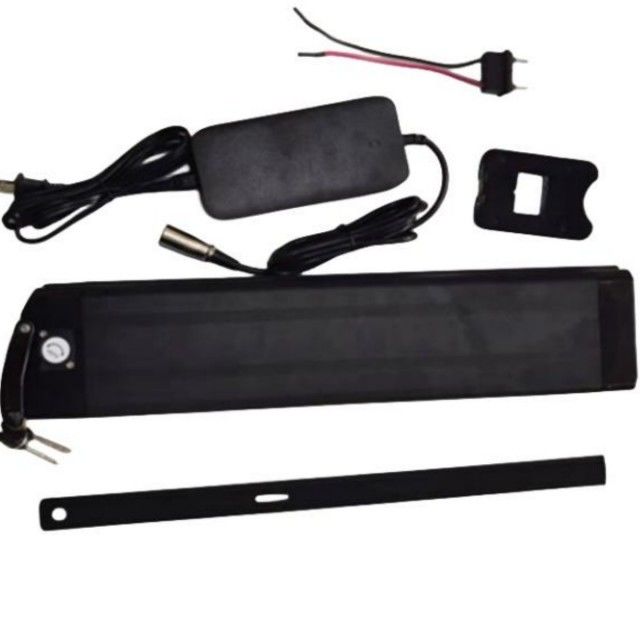 Silver Fish Batteria al litio 48V 25Ah Lunghezza 630mm con caricabatterie Per E Bike