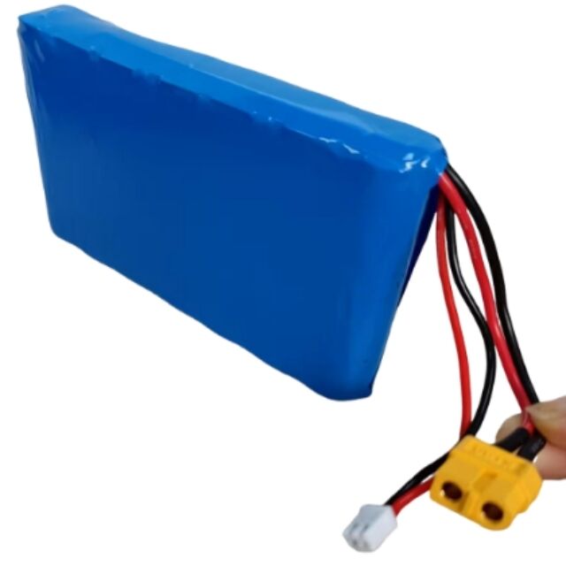 Pacchetto batterie personalizzato 7s1p 18650 24V 3500mAh Per motore da 350W con spina Xt60